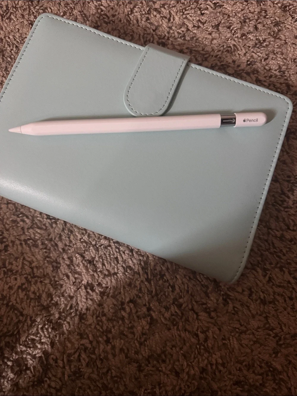 Apple Pencil USB-C (out of box)